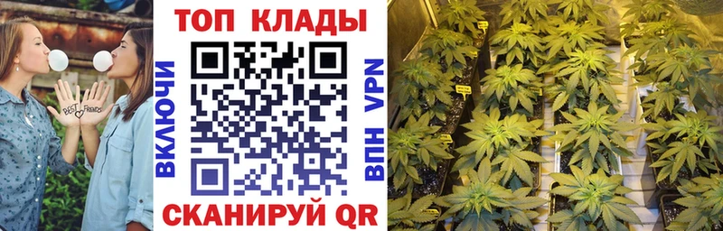 Где купить наркоту Норильск Марихуана  A-PVP  Гашиш  ОМГ ОМГ зеркало  Кокаин  Псилоцибиновые грибы 