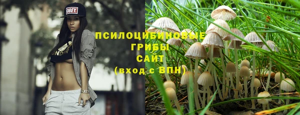 каннабис Коряжма