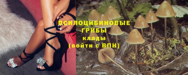 каннабис Коряжма