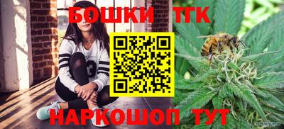 индика Гусь-Хрустальный