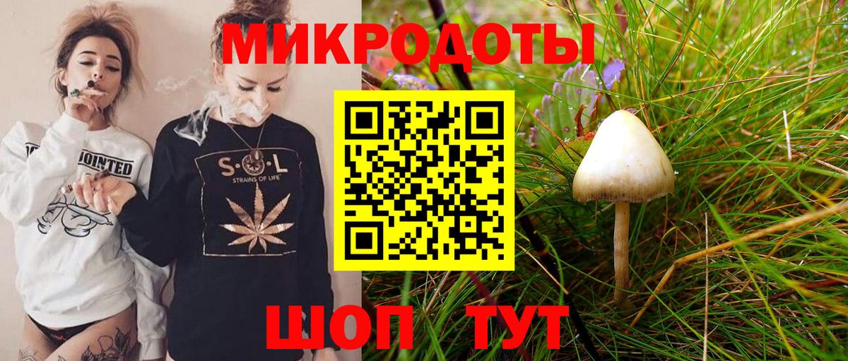 Норильск  Псилоцибиновые грибы GOLDEN TEACHER  как найти закладки  Вход с VPN  Псилоцибиновые грибы мухоморы 