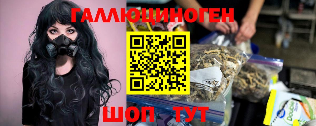 Галлюциногенные грибы Psilocybine cubensis Норильск