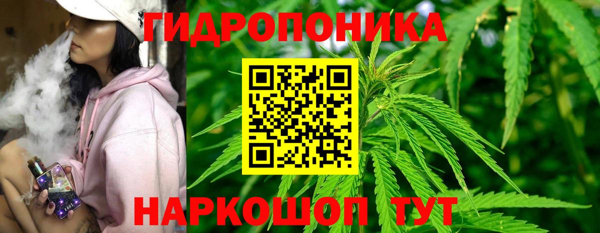 Шишки марихуана семена Норильск